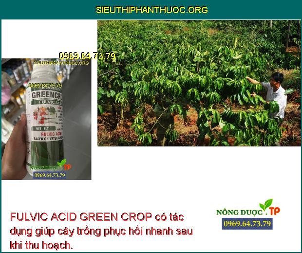 FULVIC ACID GREEN CROP có tác dụng giúp cây trồng phục hồi nhanh sau khi thu hoạch.