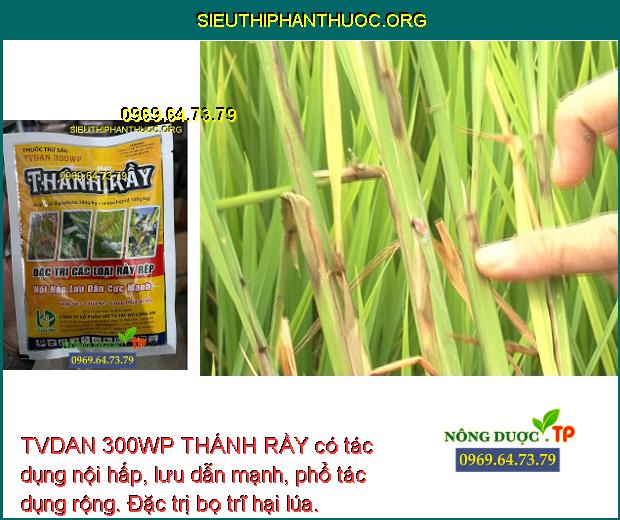 TVDAN 300WP THÁNH RẦY có tác dụng nội hấp, lưu dẫn mạnh, phổ tác dụng rộng. Đặc trị bọ trĩ hại lúa.