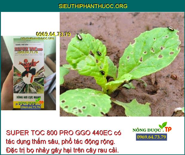 SUPER TOC 800 PRO GGO 440EC có tác dụng thấm sâu, phổ tác động rộng. Đặc trị bọ nhảy gây hại trên cây rau cải.