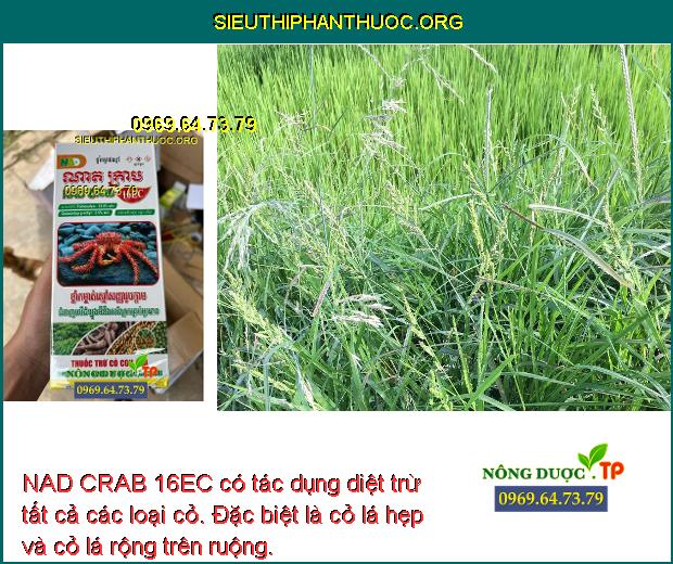 NAD CRAB 16EC có tác dụng diệt trừ tất cả các loại cỏ. Đặc biệt là cỏ lá hẹp và cỏ lá rộng trên ruộng.