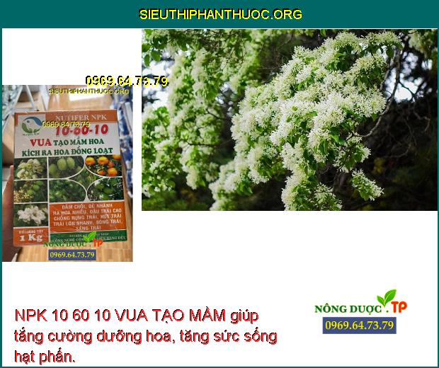NPK 10 60 10 VUA TẠO MẦM giúp tắng cường dưỡng hoa, tăng sức sống hạt phấn.