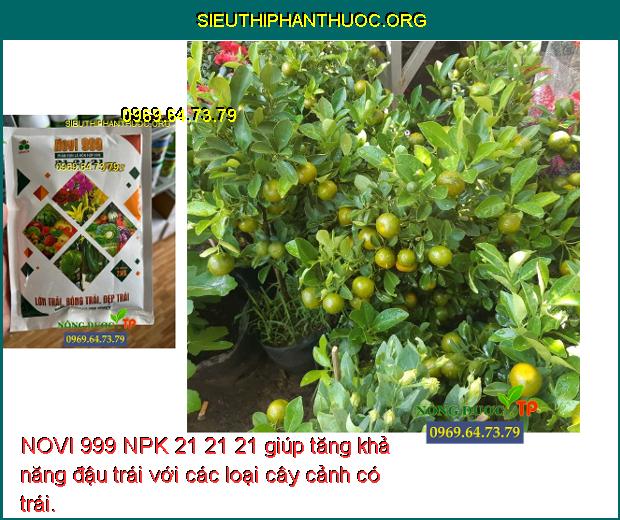 NOVI 999 NPK 21 21 21 giúp tăng khả năng đậu trái với các loại cây cảnh có trái.