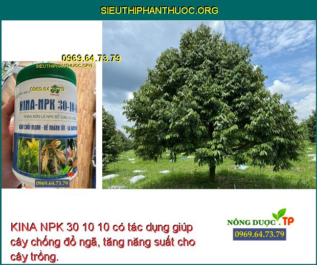 KINA NPK 30 10 10 có tác dụng giúp cây chống đổ ngã, tăng năng suất cho cây trồng.
