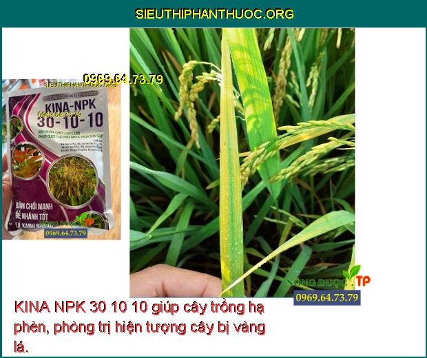 KINA NPK 30 10 10 giúp cây trồng hạ phèn, phòng trị hiện tượng cây bị vàng lá.