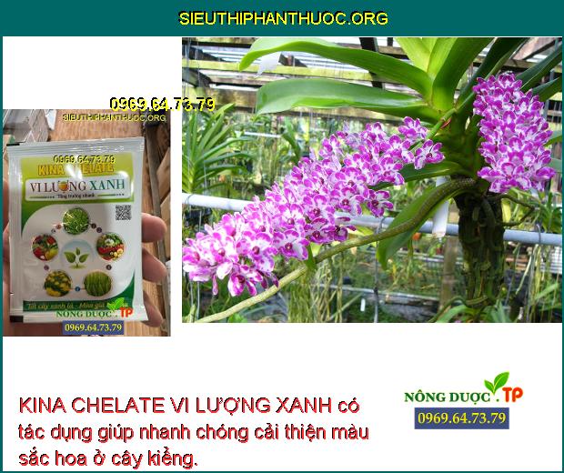 KINA CHELATE VI LƯỢNG XANH có tác dụng giúp nhanh chóng cải thiện màu sắc hoa ở cây kiểng.