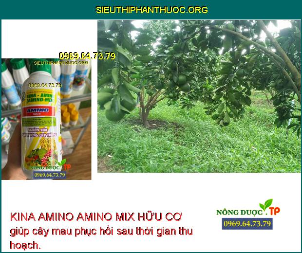 KINA AMINO AMINO MIX HỮU CƠ giúp cây mau phục hồi sau thời gian thu hoạch.