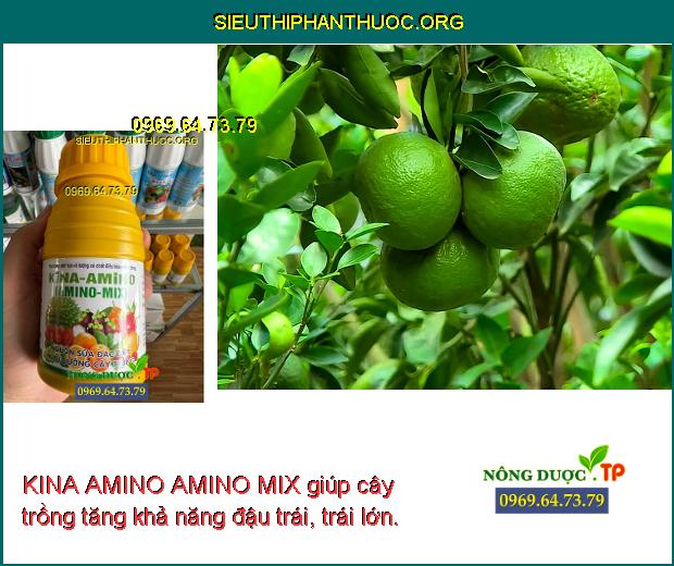 KINA AMINO AMINO MIX giúp cây trồng tăng khả năng đậu trái, trái lớn.