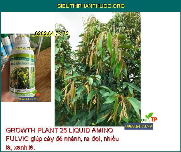 GROWTH PLANT 25 LIQUID AMINO FULVIC giúp cây đẻ nhánh, ra đọt, nhiều lá, xanh lá.