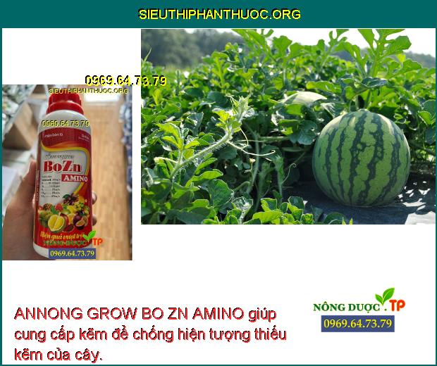 ANNONG GROW BO ZN AMINO giúp cung cấp kẽm để chống hiện tượng thiếu kẽm của cây.