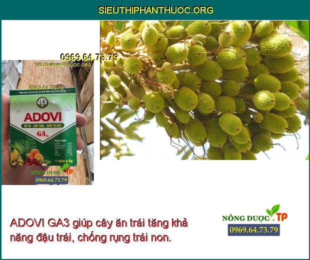 ADOVI GA3 giúp cây ăn trái tăng khả năng đậu trái, chống rụng trái non.