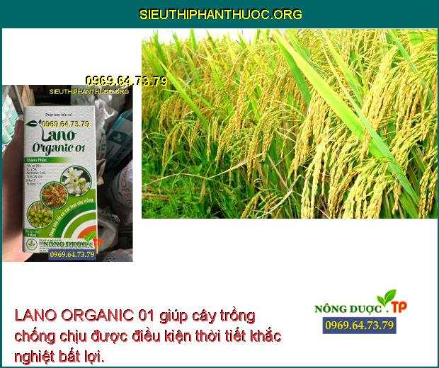 LANO ORGANIC 01 giúp cây trồng chống chịu được điều kiện thời tiết khắc nghiệt bất lợi.