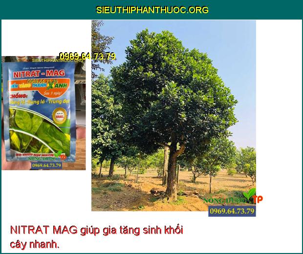 NITRAT MAG giúp gia tăng sinh khối cây nhanh.
