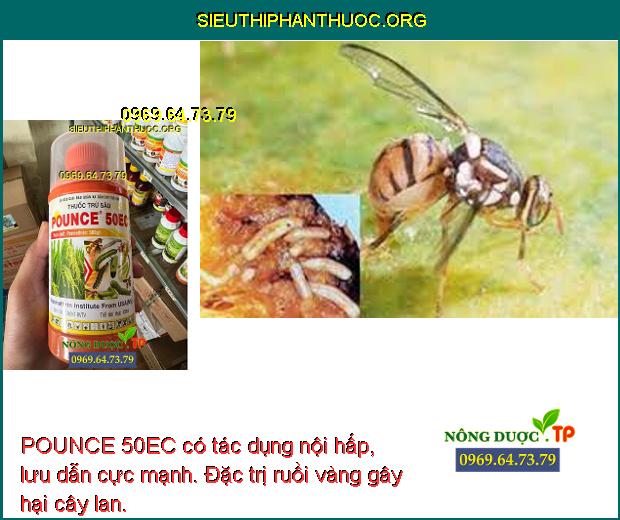 POUNCE 50EC có tác dụng nội hấp, lưu dẫn cực mạnh. Đặc trị ruồi vàng gây hại cây lan.