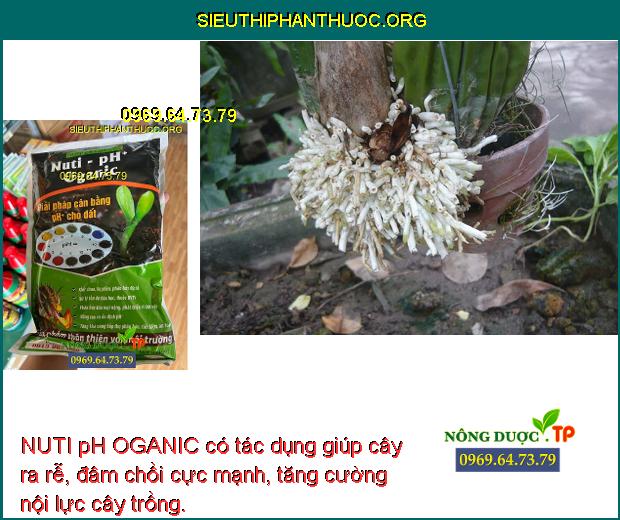 NUTI pH OGANIC có tác dụng giúp cây ra rễ, đâm chồi cực mạnh, tăng cường nội lực cây trồng.