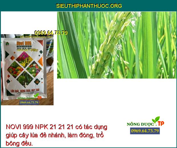 NOVI 999 NPK 21 21 21 có tác dụng giúp cây lúa đẻ nhánh, làm đòng, trổ bông đều.