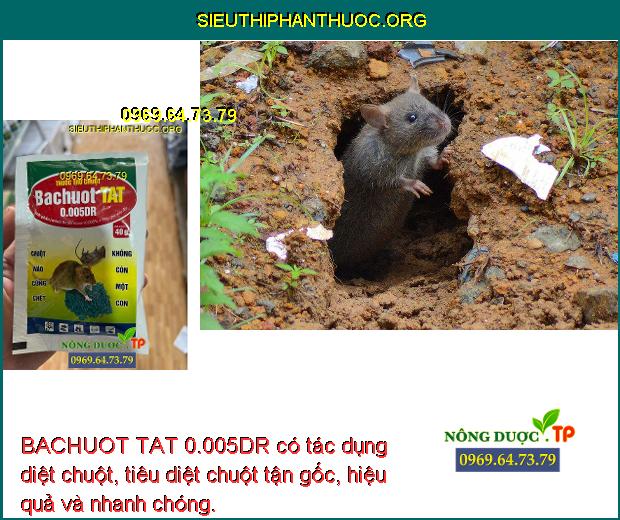 BACHUOT TAT 0.005DR có tác dụng diệt chuột, tiêu diệt chuột tận gốc, hiệu quả và nhanh chóng.