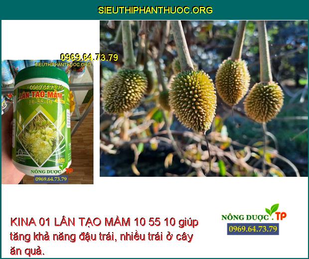 KINA 01 LÂN TẠO MẦM 10 55 10 giúp tăng khả năng đậu trái, nhiều trái ở cây ăn quả.