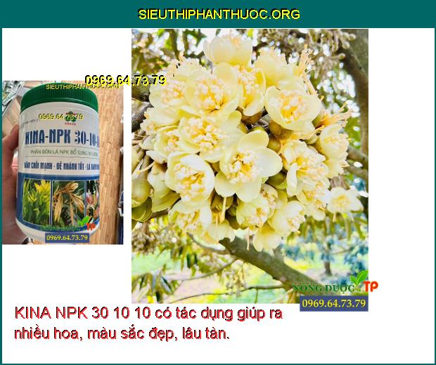 KINA NPK 30 10 10 có tác dụng giúp ra nhiều hoa, màu sắc đẹp, lâu tàn.
