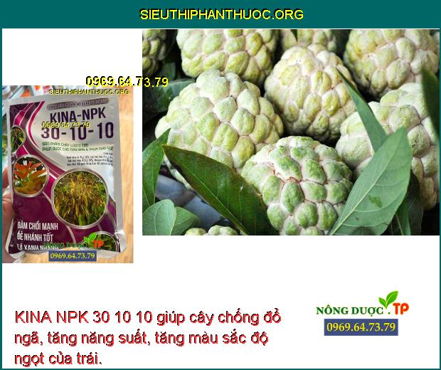 KINA NPK 30 10 10 giúp cây chống đổ ngã, tăng năng suất, tăng màu sắc độ ngọt của trái.