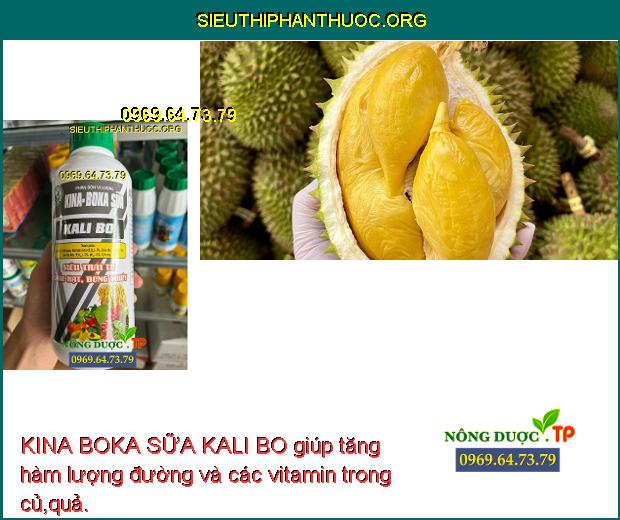 KINA BOKA SỮA KALI BO giúp tăng hàm lượng đường và các vitamin trong củ,quả.