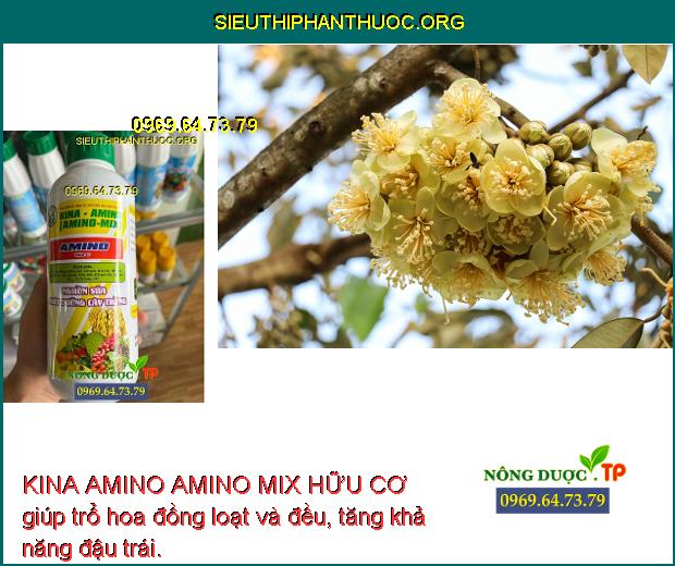 KINA AMINO AMINO MIX HỮU CƠ giúp trổ hoa đồng loạt và đều, tăng khả năng đậu trái.