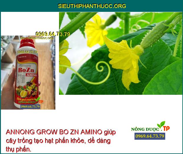 ANNONG GROW BO ZN AMINO giúp cây trồng tạo hạt phấn khỏe, dể dàng thụ phấn.