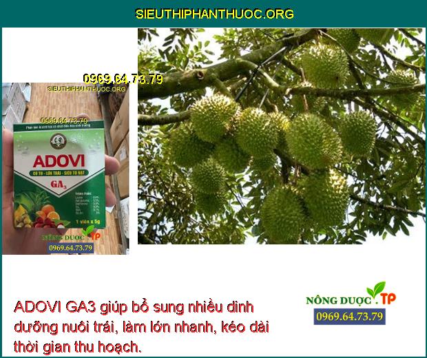 ADOVI GA3 giúp bổ sung nhiều dinh dưỡng nuôi trái, làm lớn nhanh, kéo dài thời gian thu hoạch.