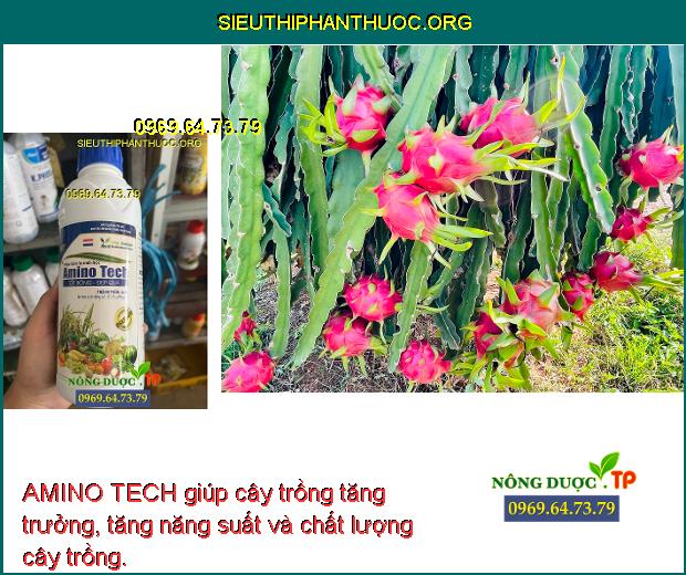 AMINO TECH giúp cây trồng tăng trưởng, tăng năng suất và chất lượng cây trồng.