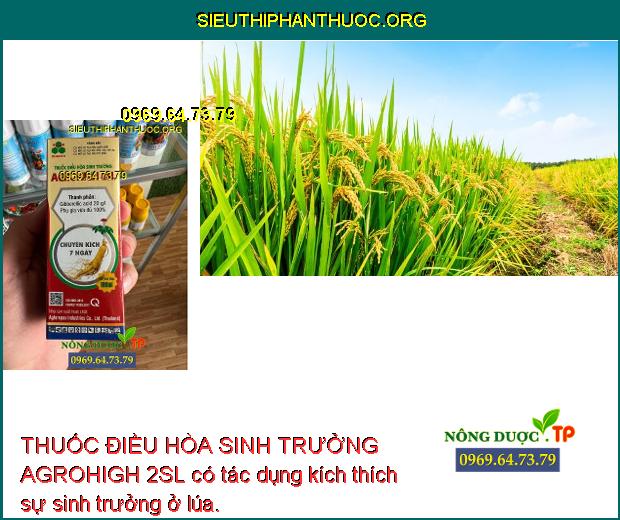 THUỐC ĐIỀU HÒA SINH TRƯỞNG AGROHIGH 2SL có tác dụng kích thích sự sinh trưởng ở lúa.