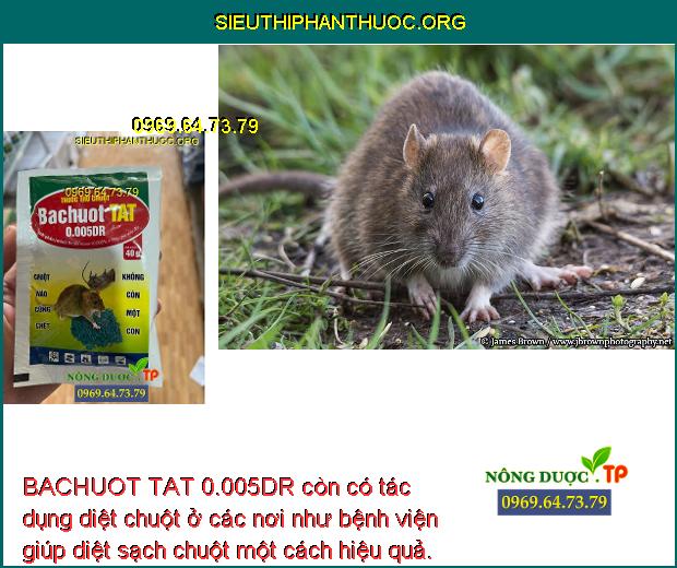 BACHUOT TAT 0.005DR còn có tác dụng diệt chuột ở các nơi như bệnh viện giúp diệt sạch chuột một cách hiệu quả.