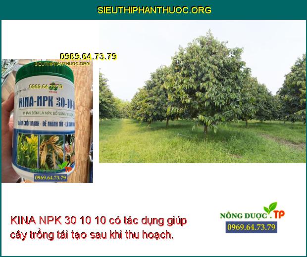 KINA NPK 30 10 10 có tác dụng giúp cây trồng tái tạo sau khi thu hoạch.