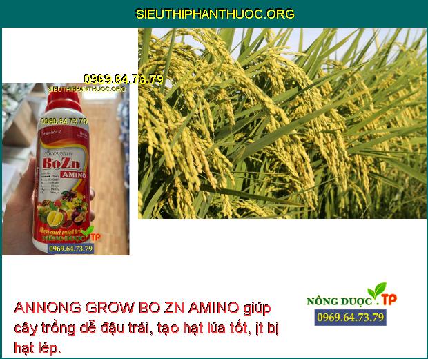 ANNONG GROW BO ZN AMINO giúp cây trồng dễ đậu trái, tạo hạt lúa tốt, ịt bị hạt lép.