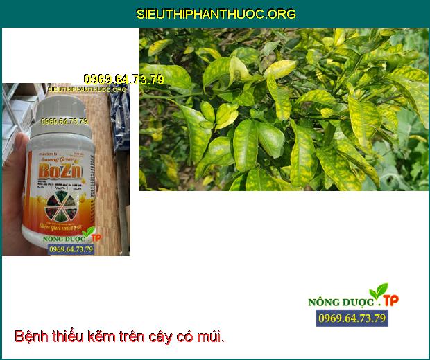 ANNONG GROW BO ZN có tác dụng cung cấp kẽm để chống hiện tượng thiếu kẽm của cây trồng.