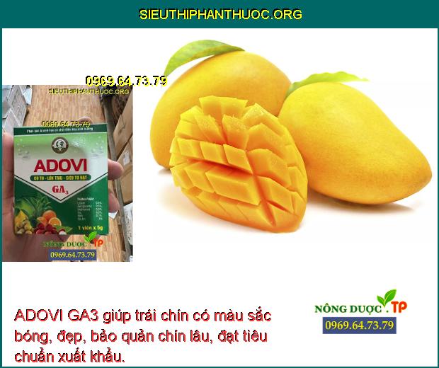 ADOVI GA3 giúp trái chín có màu sắc bóng, đẹp, bảo quản chín lâu, đạt tiêu chuẩn xuất khẩu.