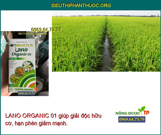 LANO ORGANIC 01 giúp giải độc hữu cơ, hạn phèn giảm mạnh.