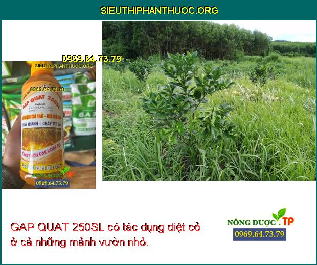 GAP QUAT 250SL có tác dụng diệt cỏ ở cả những mảnh vườn nhỏ.