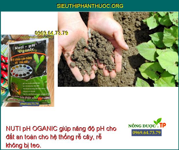 NUTI pH OGANIC giúp nâng độ pH cho đất an toàn cho hệ thống rễ cây, rễ không bị teo.