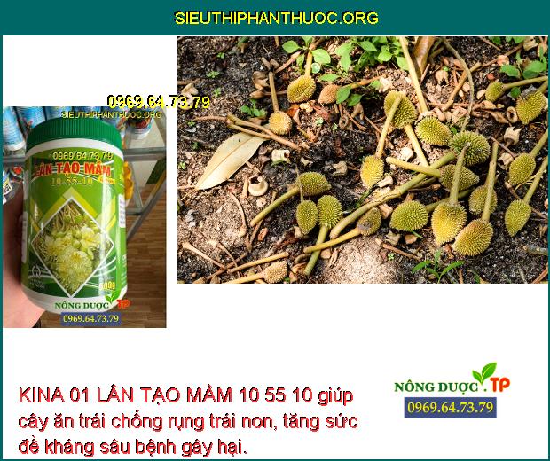 KINA 01 LÂN TẠO MẦM 10 55 10 giúp cây ăn trái chống rụng trái non, tăng sức đề kháng sâu bệnh gây hại.