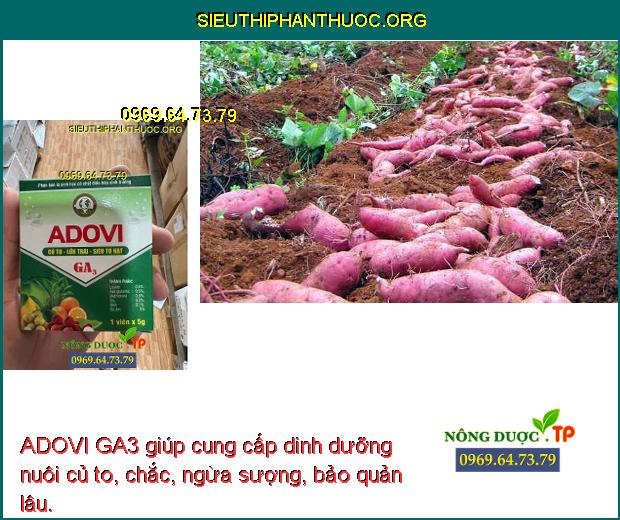 ADOVI GA3 giúp cung cấp dinh dưỡng nuôi củ to, chắc, ngừa sượng, bảo quản lâu.