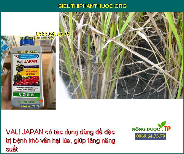 VALI JAPAN có tác dụng dùng để đặc trị bệnh khô vằn hại lúa, giúp tăng năng suất.