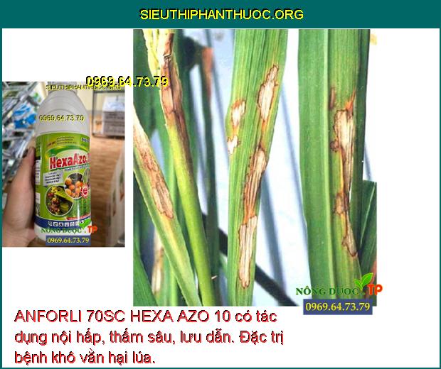 ANFORLI 70SC HEXA AZO 10 có tác dụng nội hấp, thấm sâu, lưu dẫn. Đặc trị bệnh khô vằn hại lúa.