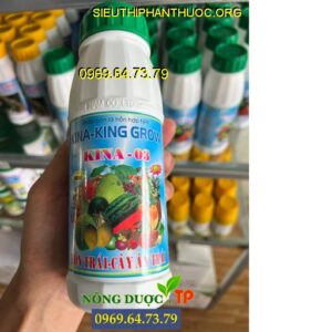 KINA KING GROW KINA 03