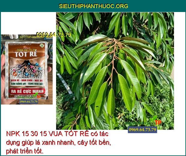 NPK 15 30 15 VUA TỐT RỄ- Kích Rễ- Đâm Chồi- Vọt Đọt- Ra Rễ Cực Mạnh ...