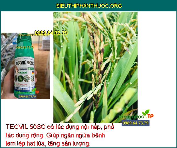 TECVIL 50SC có tác dụng nội hấp, phổ tác dụng rộng. Giúp ngăn ngừa bệnh lem lép hạt lúa, tăng sản lượng.