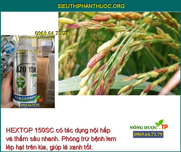 HEXTOP 150SC có tác dụng nội hấp và thấm sâu nhanh. Phòng trừ bệnh lem lép hạt trên lúa, giúp lá xanh tốt.