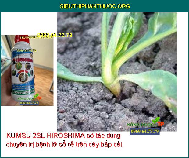 KUMSU 2SL HIROSHIMA có tác dụng chuyên trị bệnh lỡ cổ rễ trên cây bắp cải.
