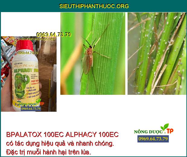 BPALATOX 100EC ALPHACY 100EC có tác dụng hiệu quả và nhanh chóng. Đặc trị muỗi hành hại trên lúa.