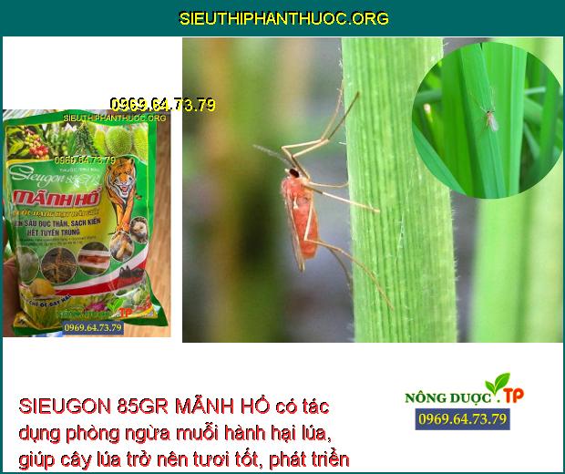 SIEUGON 85GR MÃNH HỔ có tác dụng phòng ngừa muỗi hành hại lúa, giúp cây lúa trở nên tươi tốt, phát triển tốt.