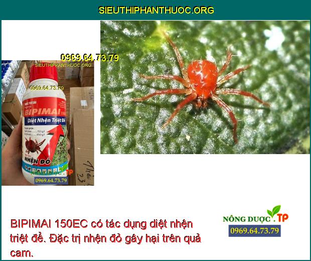 BIPIMAI 150EC có tác dụng diệt nhện triệt để. Đặc trị nhện đỏ gây hại trên quả cam.