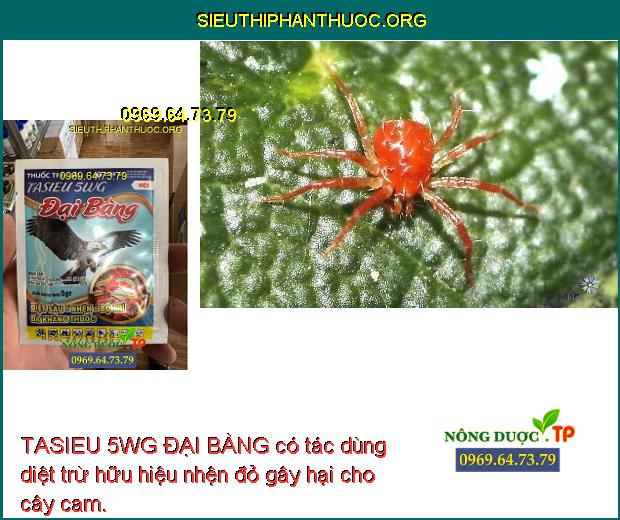 TASIEU 5WG ĐẠI BÀNG có tác dùng diệt trừ hữu hiệu nhện đỏ gây hại cho cây cam.